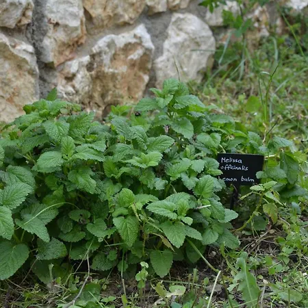 Appartamento Lotus Sea View Lixouri