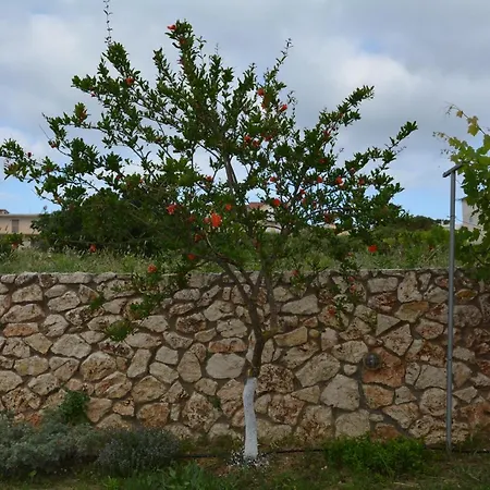 Lotus Sea View Apartmán Lixouri